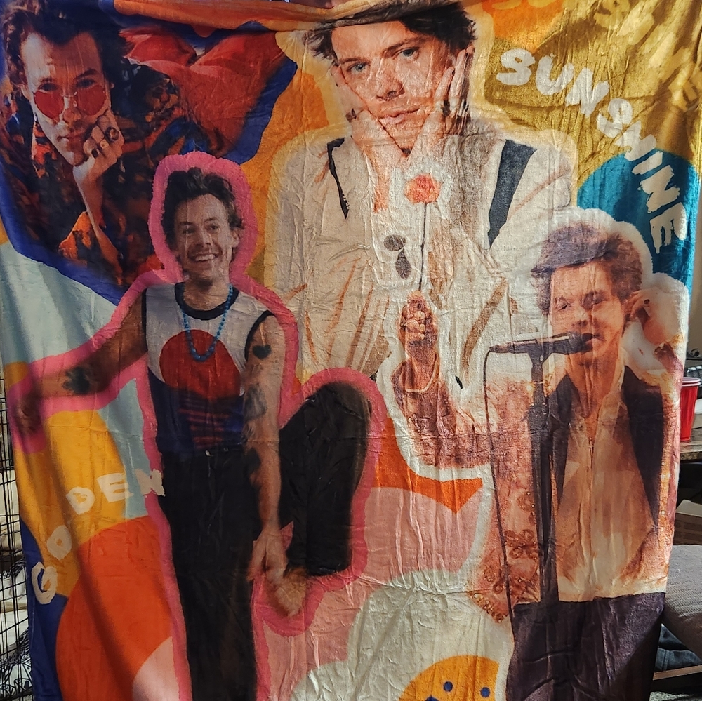 Harry styles